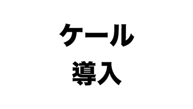 f:id:kiyosui:20170621072807j:plain